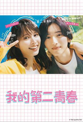 怎么安装yoastseo